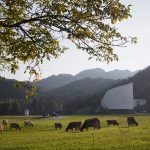 Kultur & Veranstaltungen