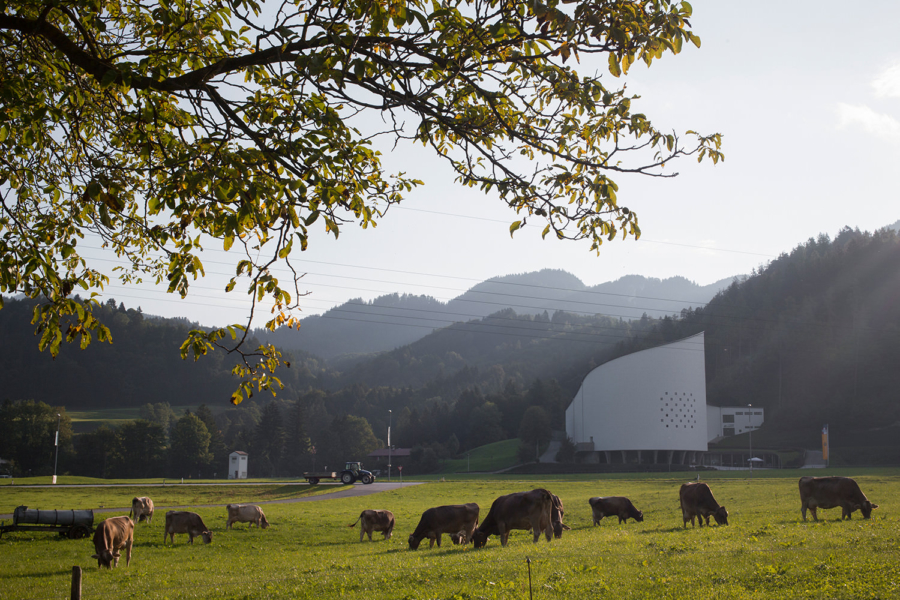 Kultur & Veranstaltungen