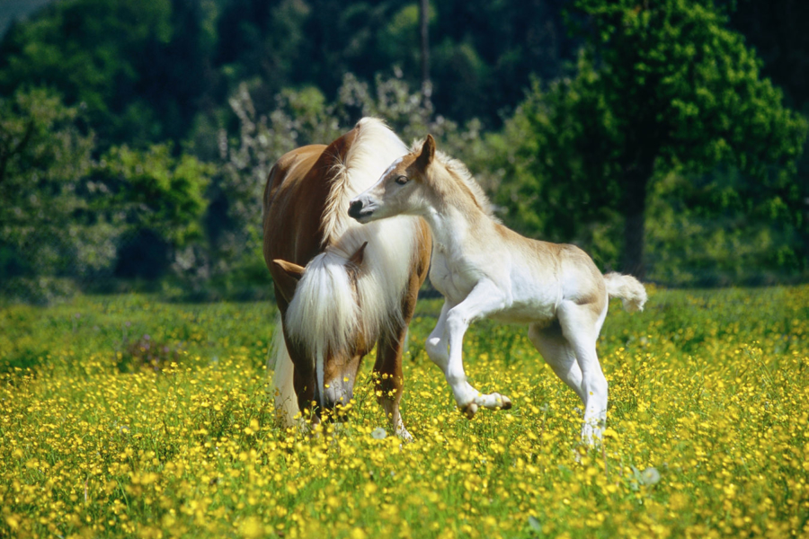 Aktiv & Natur – Frühjahr