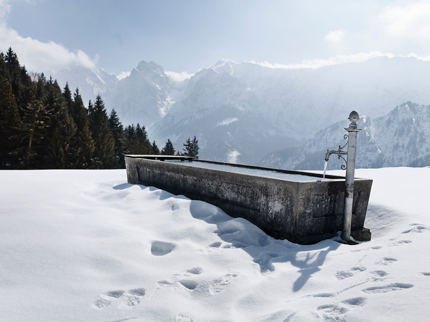 Winter