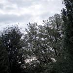 Die Pausenplätze