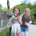 Aktiv & Natur – Sommer