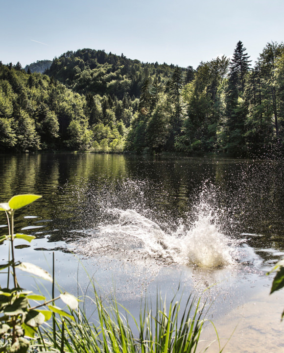 Tirol Urlaub am See